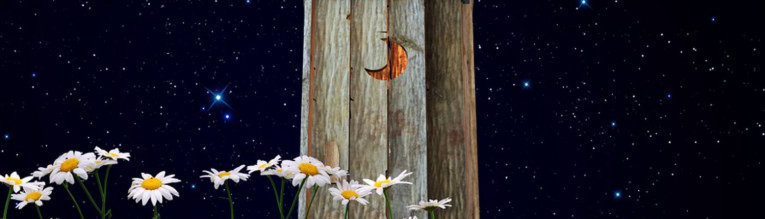 Hämorrhoiden in der Schwangerschaft - vorbeugen & behandeln