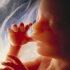 Ein Kind entsteht: Foetus in Woche 20